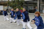 Agora 2024 - 9/15 : Tai Chi Chuan - L'éventail s'ébroue au vent