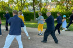 Taichi chuan - parc Saint-Pierre - 1er juillet 2026 (5)