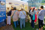 Belle affluence au stand de l'association (3/3)